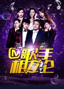 《歌手相互论》:音乐梦想的碰撞与交融,聆听灵魂深处的歌唱